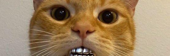 Szamuel_szn banner