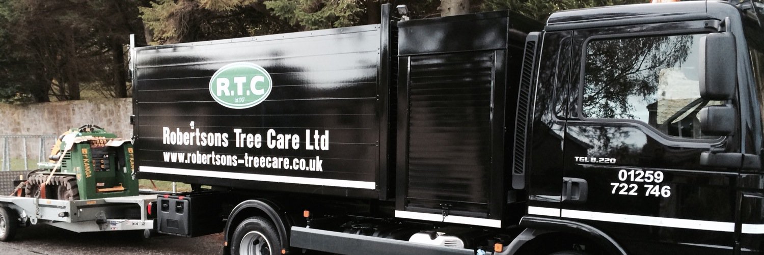RobertsonsTreeC's profile banner image