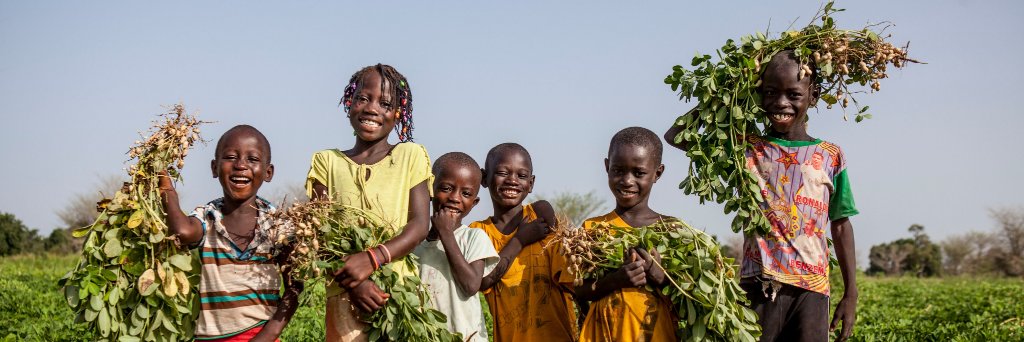VillageAid's profile banner image