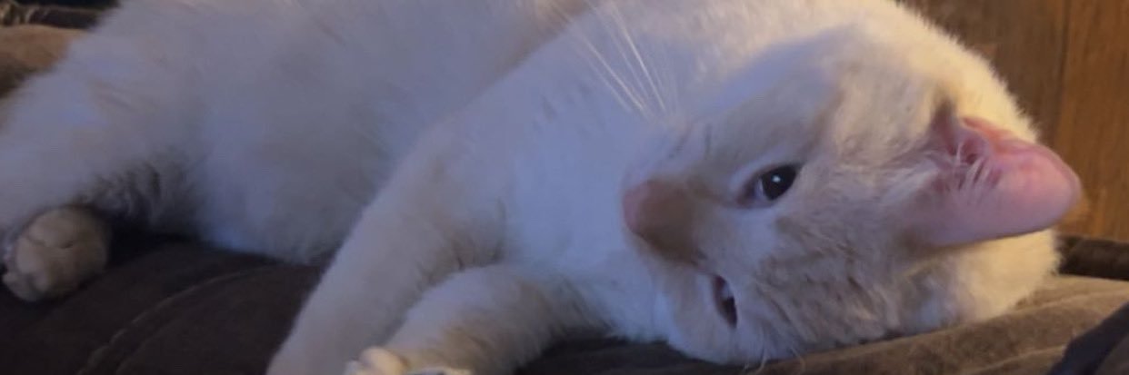 ashleemriee's profile banner image