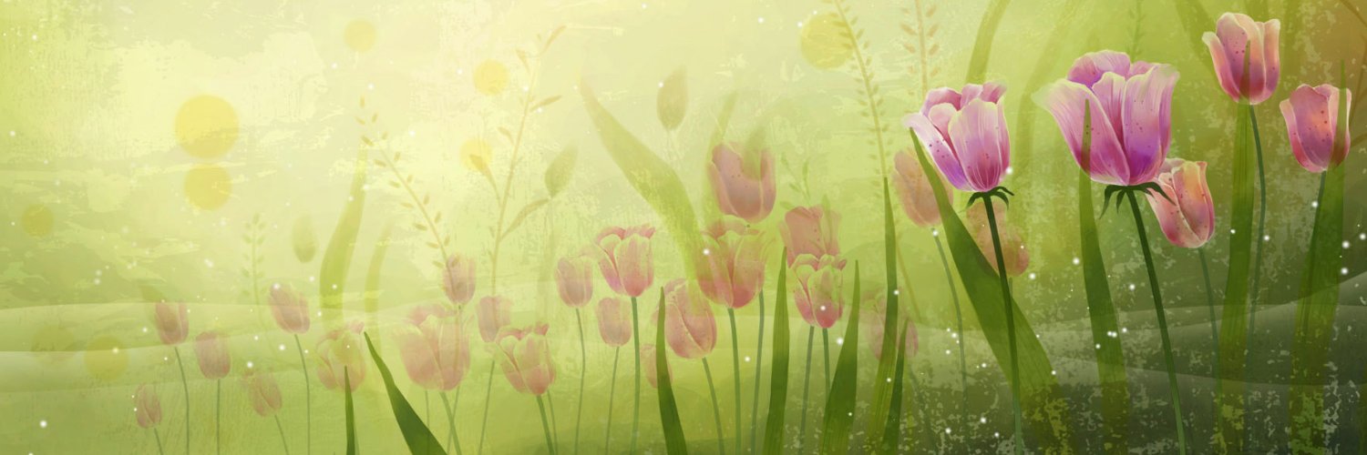 g_greif's profile banner image