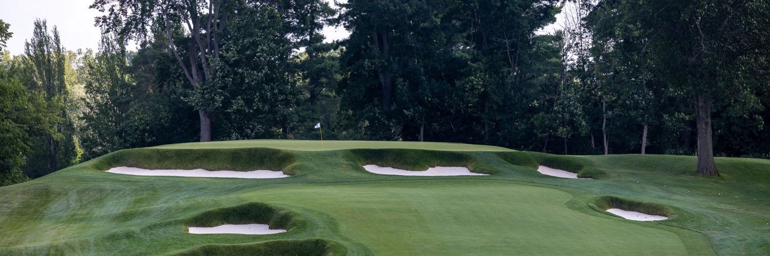 Brysandel DeChamblee banner