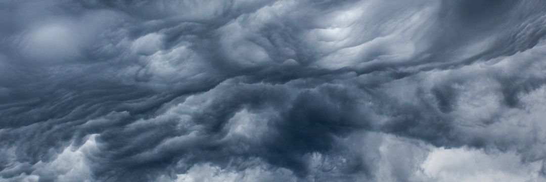 WhitmerAbree's profile banner image