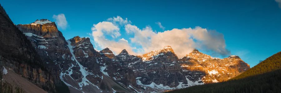 Bold Homes YYC banner
