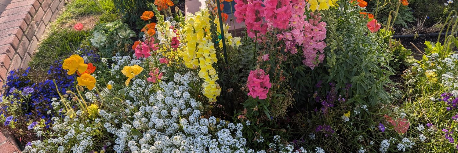 ✝️ Angie ✌️⚓❤️ banner