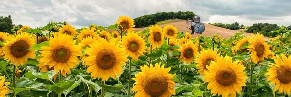 Alfreda666 Profile Banner