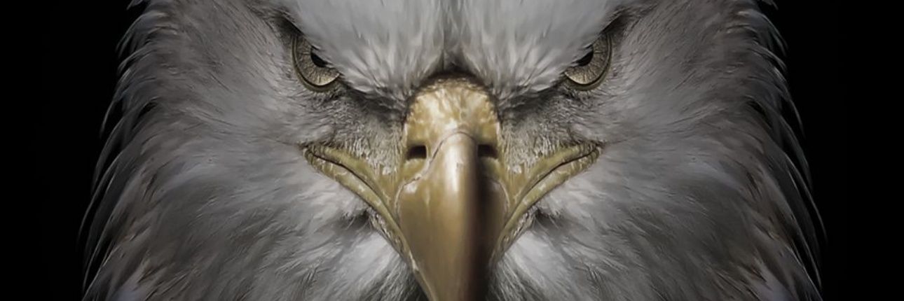 HAKAN ÇEÇENOĞLU banner