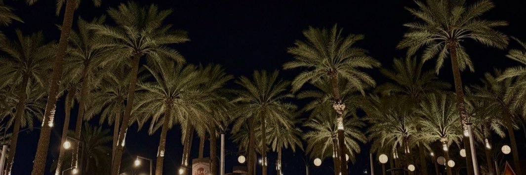 rxlid1's profile banner image
