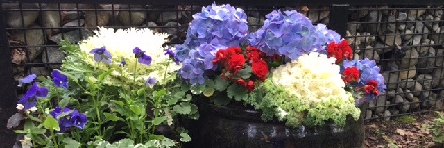 Sheri Schofield banner