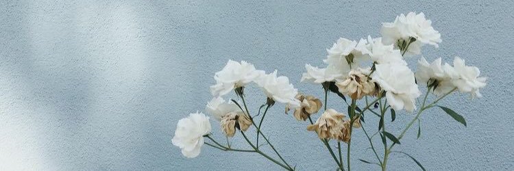 zzNAzz's profile banner image