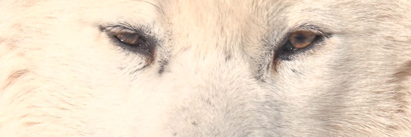sercan100's profile banner image