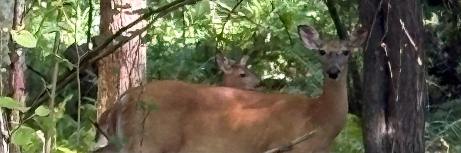 Greg32958812's profile banner image