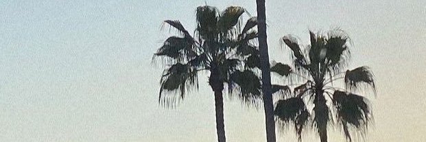 JenyaGomez's profile banner image