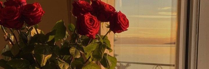 HayateAna14's profile banner image