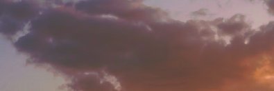 Eula Beehler ❤️ Memecoin banner