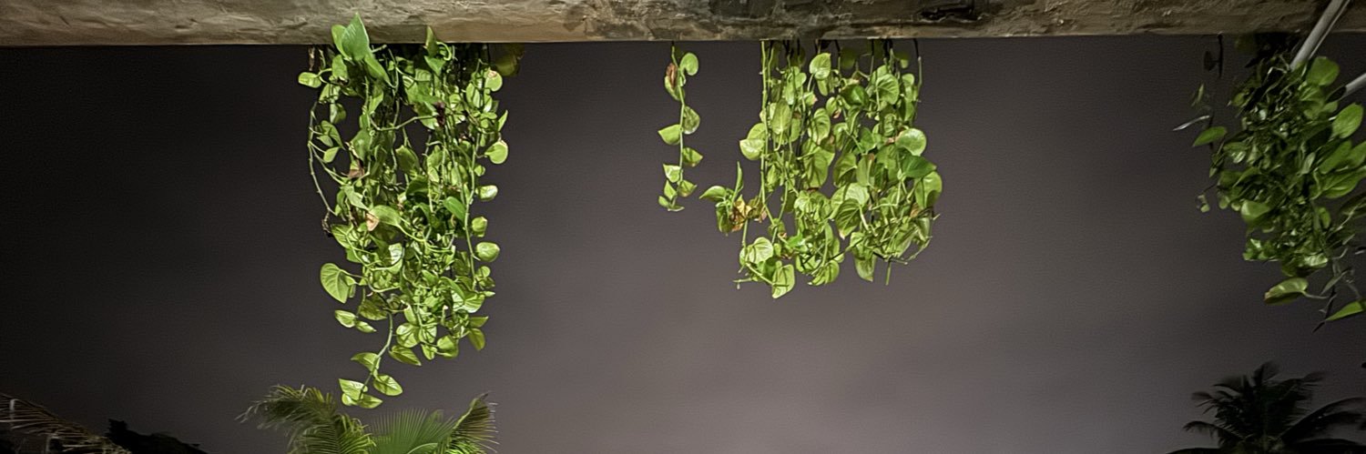 Yasir Alfikry banner