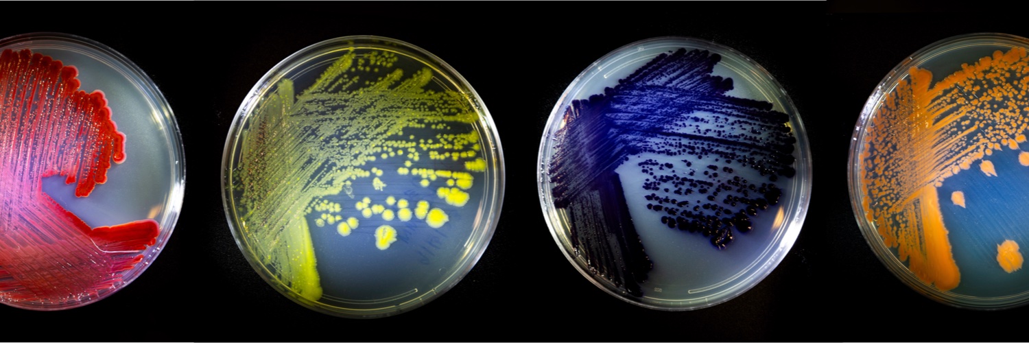 Wild Microbes banner