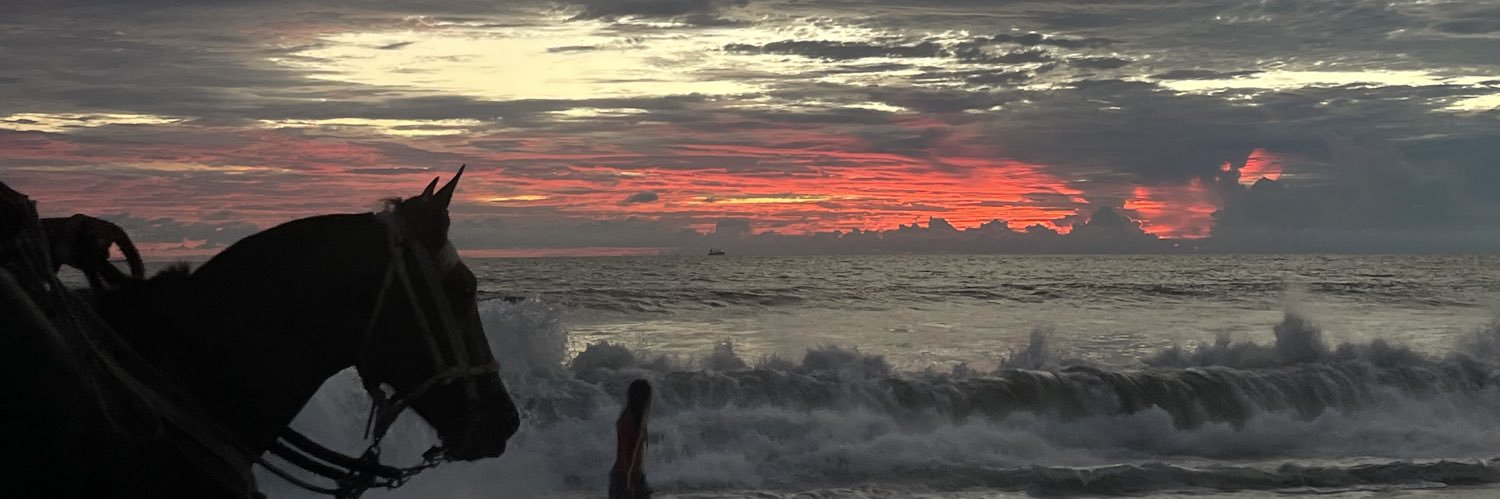 Bryanjgf98's profile banner image
