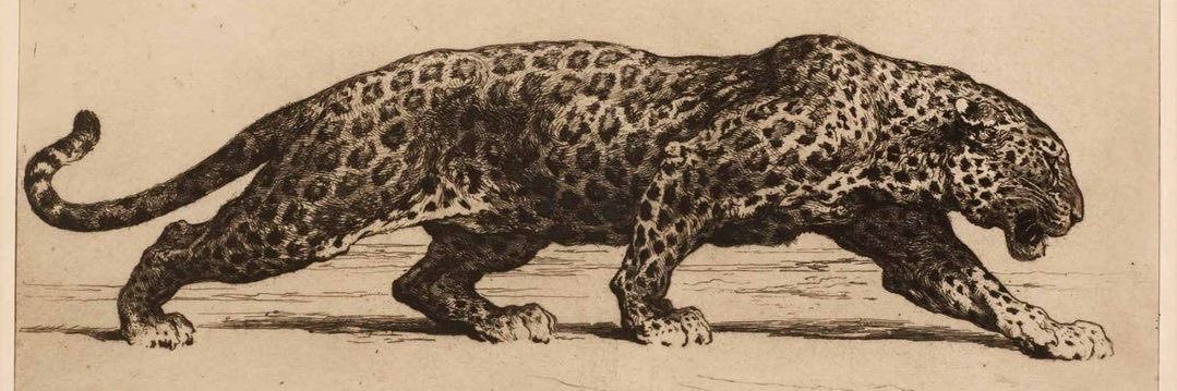 ابوفهيد banner