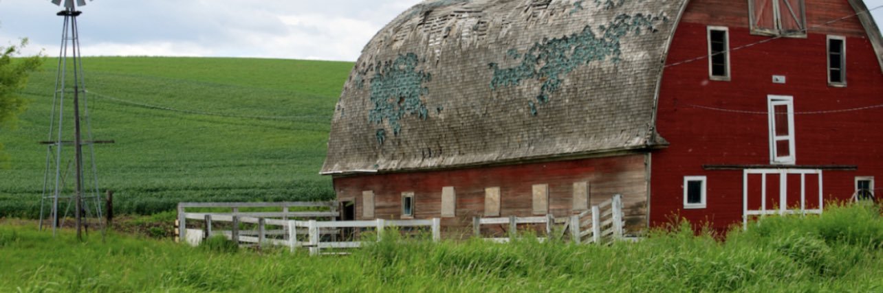 Maxwell Paddock banner