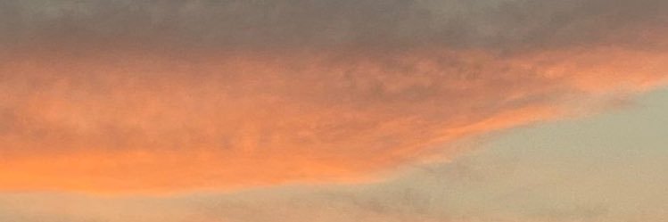 ipekkseyma's profile banner image