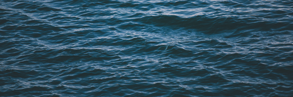 countessian Profile Banner