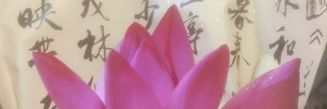 guqiano's profile banner image