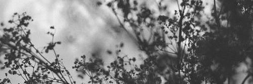 kkoko1111's profile banner image