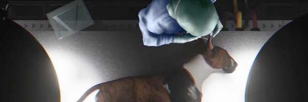 Dr Waly - Official Account banner