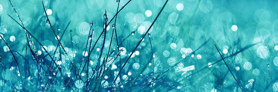 raber's profile banner image