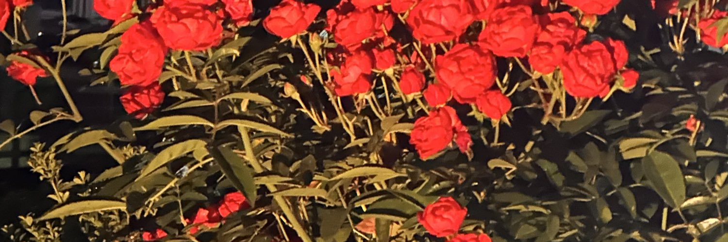 雨 banner