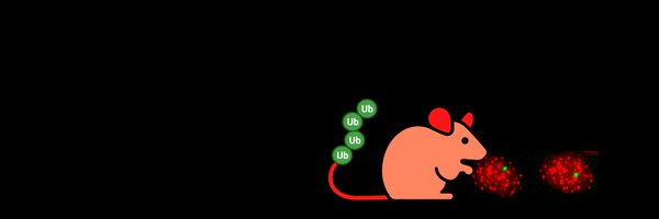 CermakLab Profile Banner