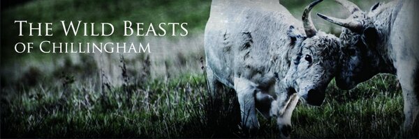 ChillinghamWild Profile Banner