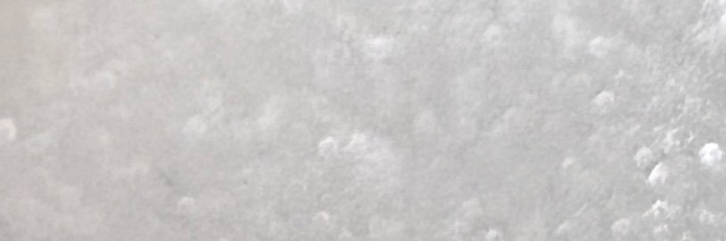 gastralia_'s profile banner image
