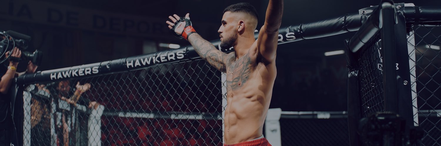 Manguelo_mma banner