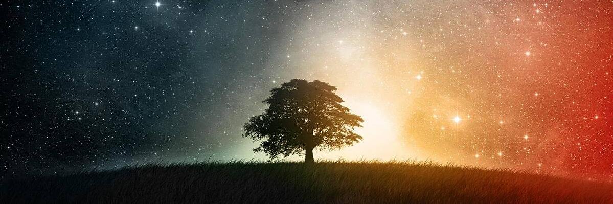 EfeKocaman's profile banner image
