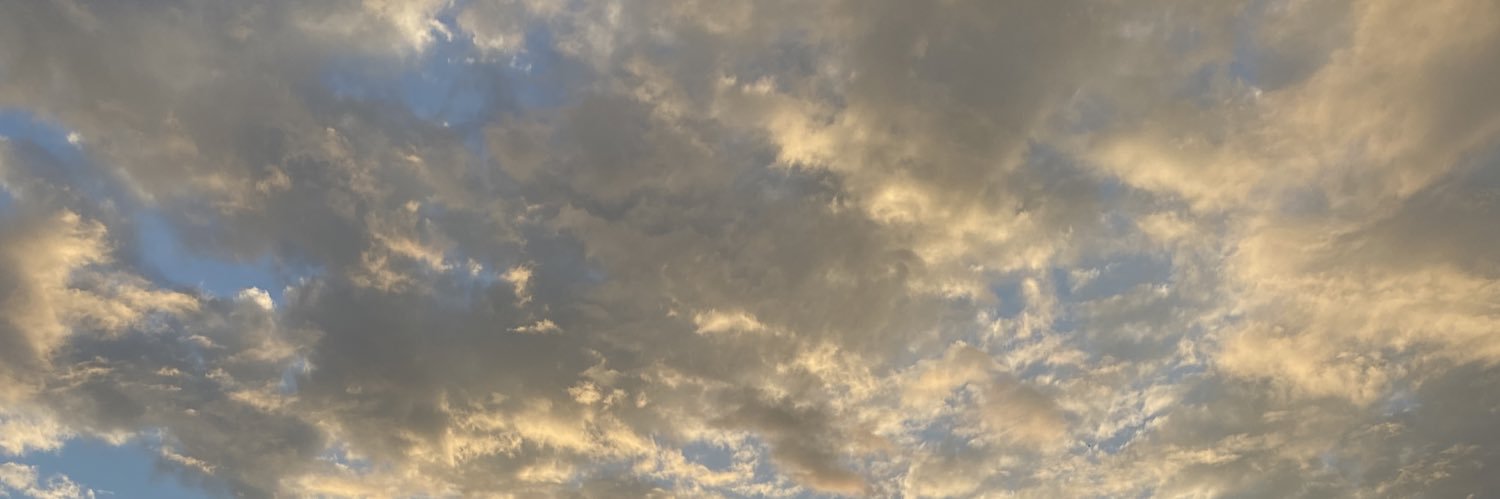 DSuhotsky's profile banner image