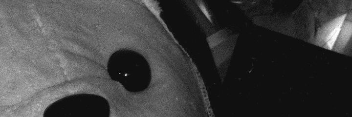ull • @ after dm banner