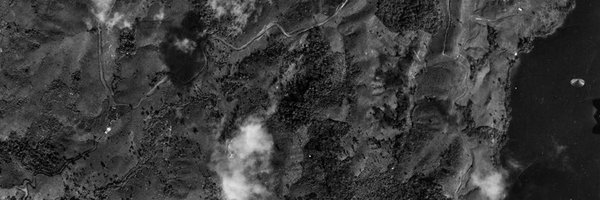 mister_truman Profile Banner