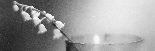 Moooonflash Profile Banner