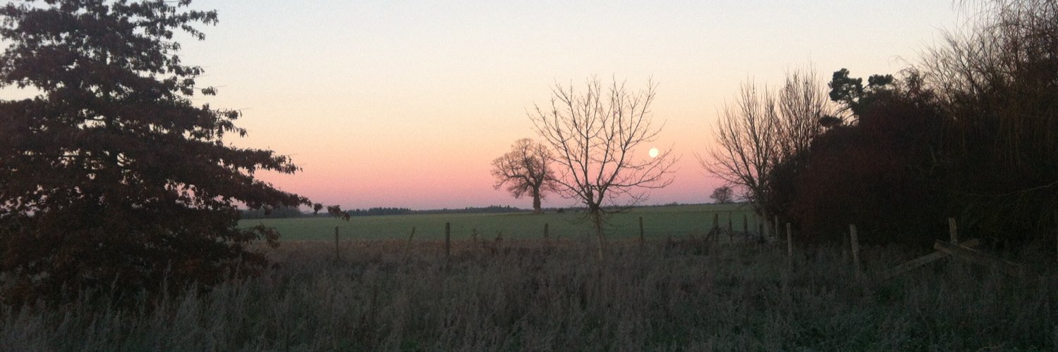 Deborah Maarek banner