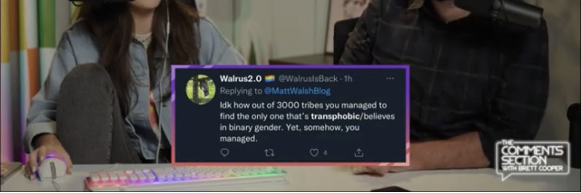 Walrus2.6🏳️‍🌈 🏳️‍⚧️ ☮️ 🌻 🇺🇦 banner