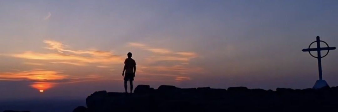 Sean lonergan banner