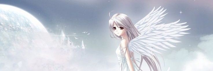 🪽 banner