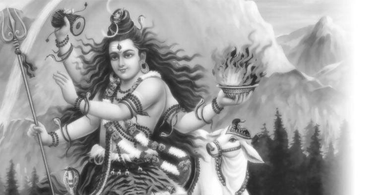 srinathiyer7's profile banner image