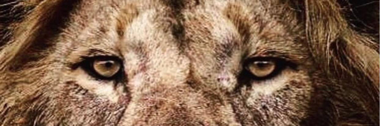 RealManBentley's profile banner image
