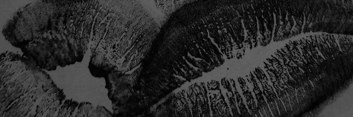 🤫 banner