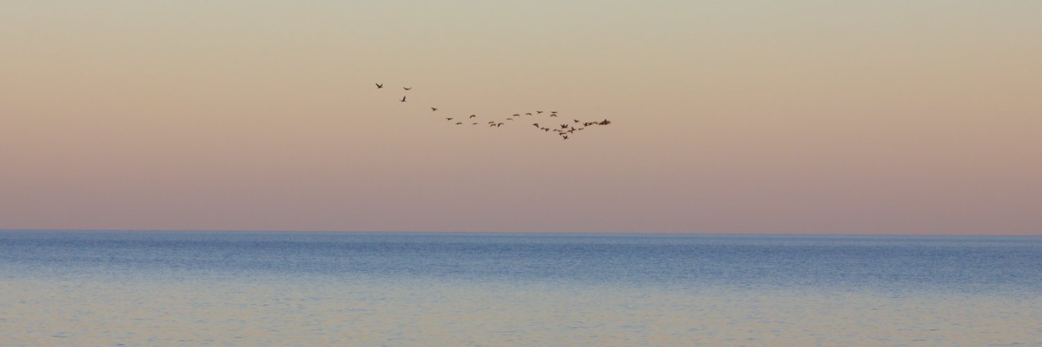 Пливи,рибо,пливи's banner