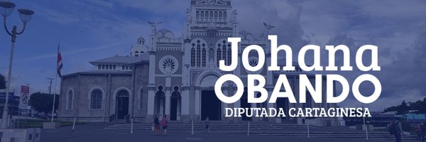 JohanaDiputada Profile Banner
