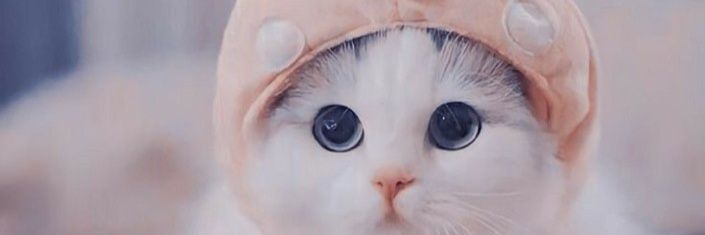 Tak || Life Thoughts banner
